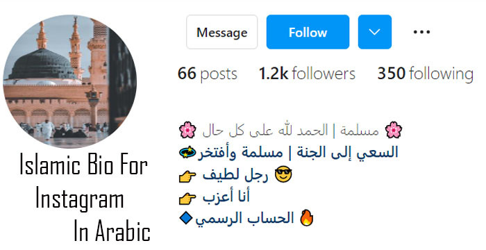 Explore Bios For Social Media Profiles