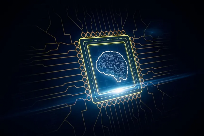 Behavioral Data and Machine Learning in Gamified Bitcoin Gambling Environments