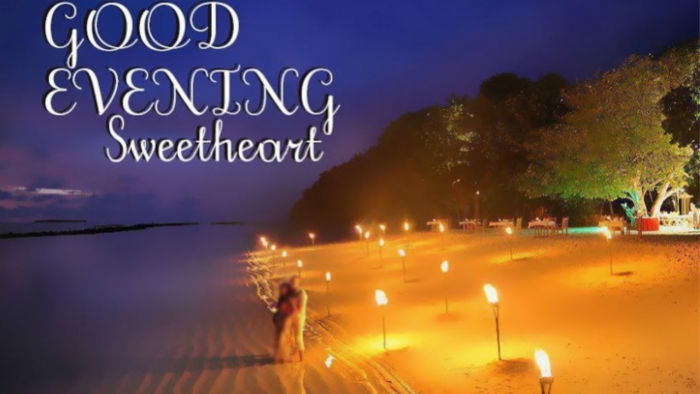 200+ Good Evening Messages to Brighten Someone’s Night