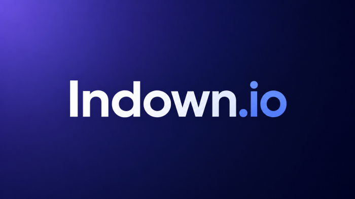 Indown.io Review A user-first guide to downloading Instagram Reels, videos, photos, and Stories
