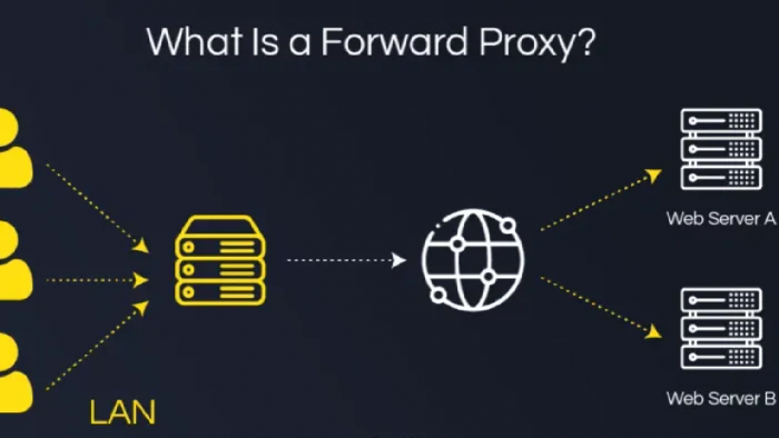 What Is a Forward Proxy? A Complete Guide