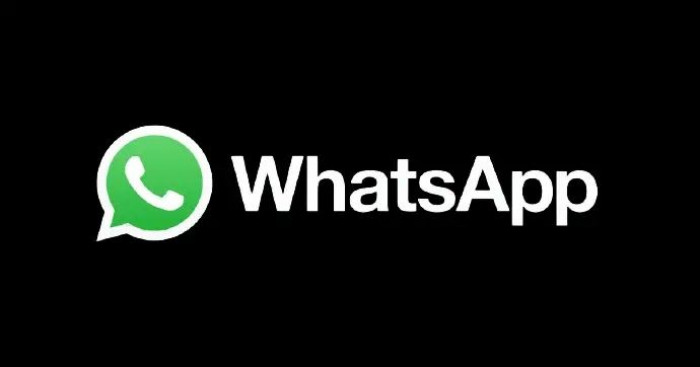 WhatsApp Rolls Out  Anti-Scam Features Amid Rising Global Fraud